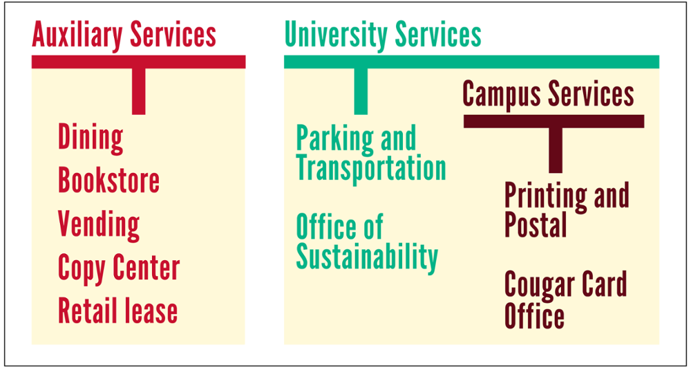 organizational chart for Auxiliary Services University Services
